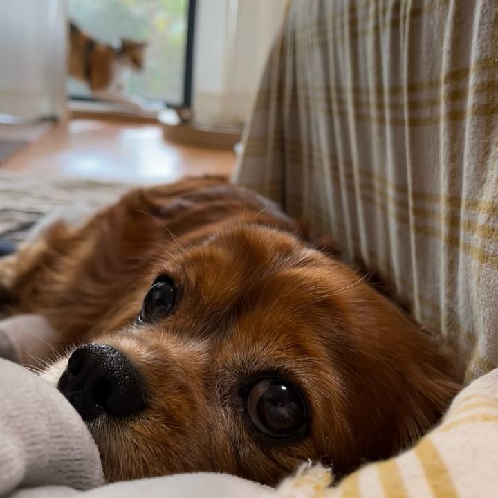 F4e336ec d69d 4a36 877d 7e19aa488fec 1668637525144