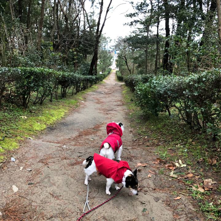 F4e34fb6 c50f 402f a138 04200aa8a908 1581898297604