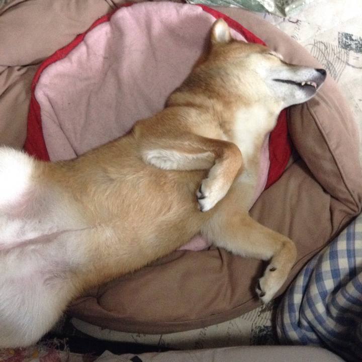 F4e36349 a922 425c bd90 2159f21e0559 1524441875556