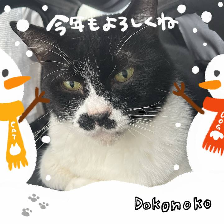 F4e3b60e 10e0 4304 b7ed bad006086874 1704176715452