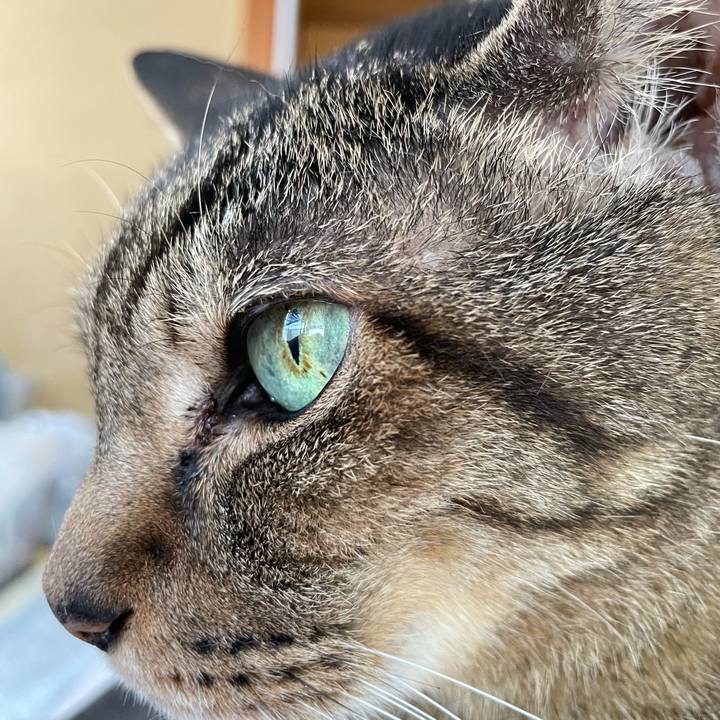 F4e3c203 16b0 447c b1a0 308f6f2390b9 1625276453705