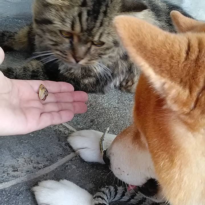 F4e3d76c 1233 44af 8d54 9166add2be4b 1630047883212