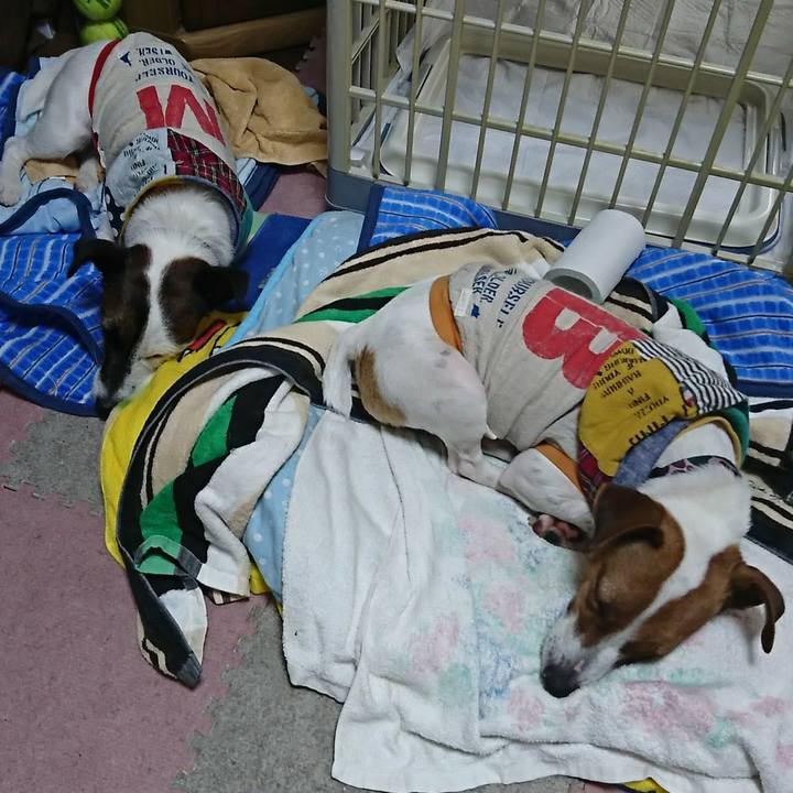 F4e4209d 44b5 4db3 9adc 6f929cbdbcfc 1537829525527