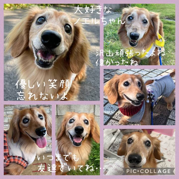 F4e4362c dbec 48b6 917e b99a52b504ca 1698214144191