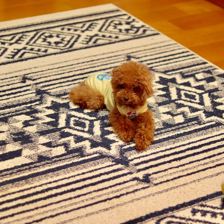 F4e4668c a6c3 44eb bcc1 870ee9263e68 1562932187917