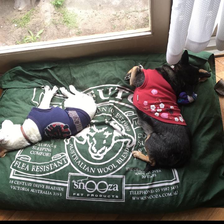 F4e473de 2957 45cf b586 9e84f78d7b43 1760147583388