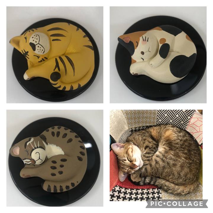 F4e4b5ab 9b53 4206 9e74 85894e404a76 1642920141193