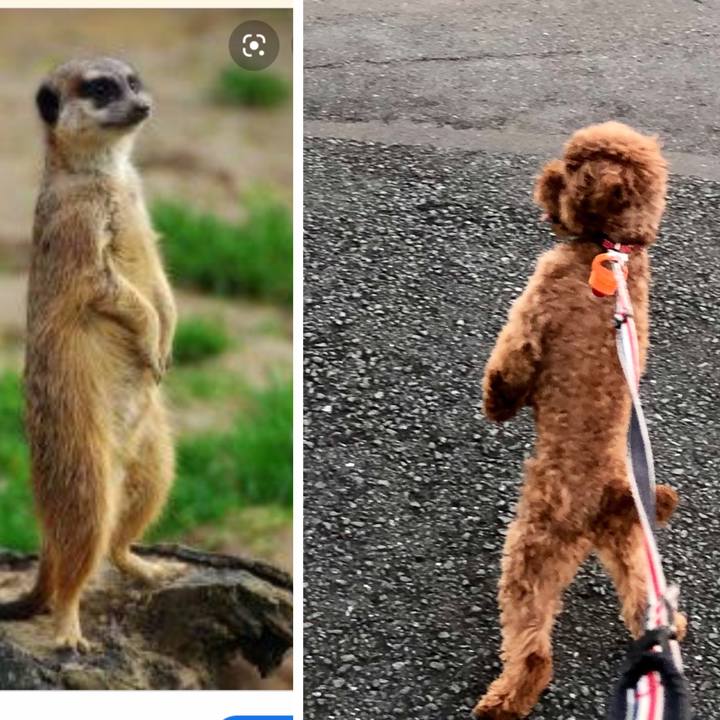 F4e4c1c7 31b1 4f42 989c 5a160fac6ba0 1568624439933