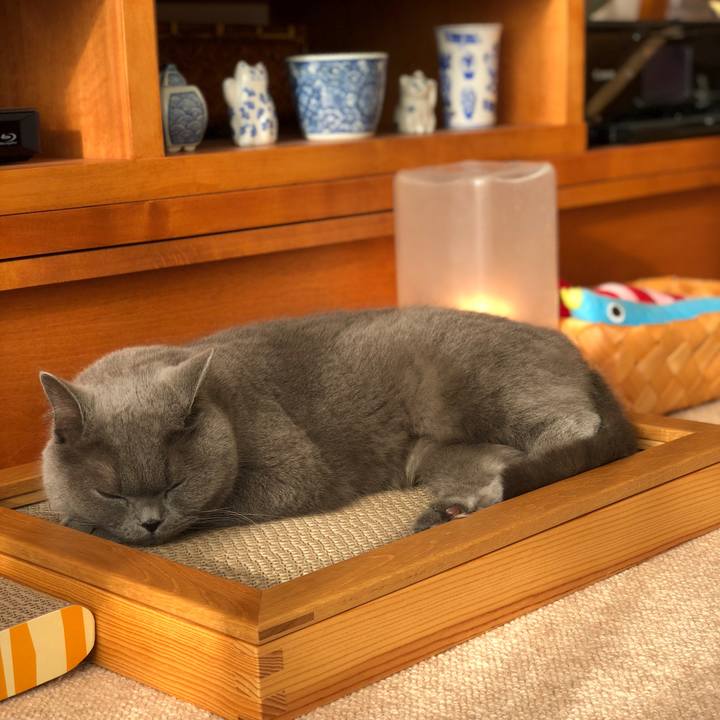 F4e4cb98 eb68 4429 8421 e83c311b7324 1520752090650