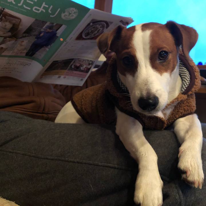 F4e50e83 b169 40b5 ac1c f2662967a6b3 1548718483952