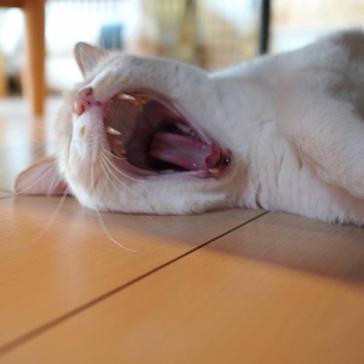 F4e51484 d7ce 4664 bfc1 f8640a2fe979 1768523663288