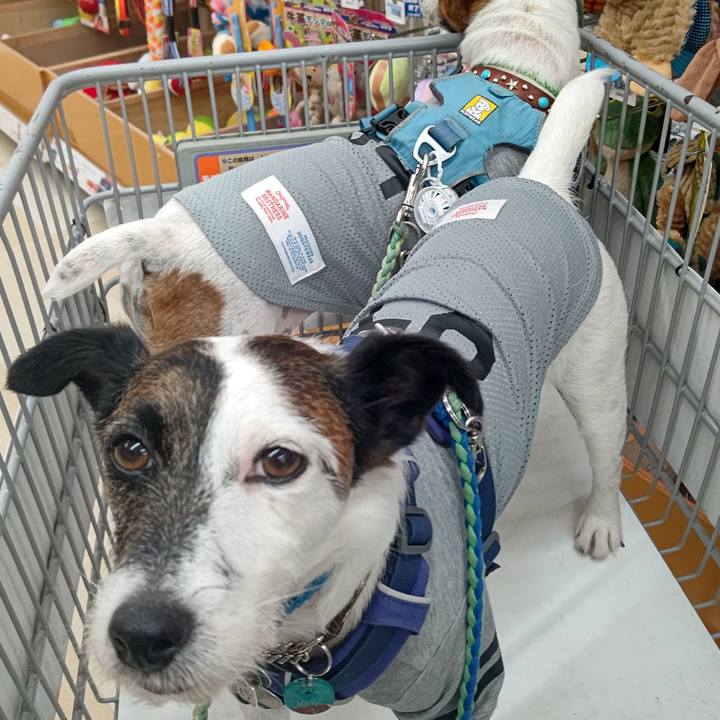 F4e554ff 80d3 4aff b678 a33de11e7902 1633167511205