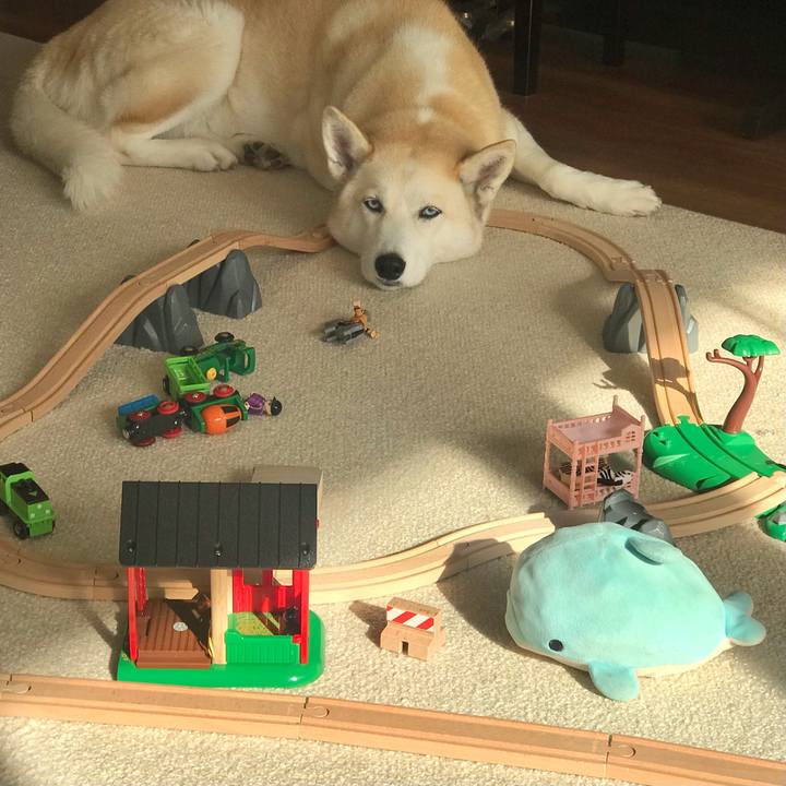 F4e57d9f 231b 4406 bbf7 b7de34b43e78 1674275845764