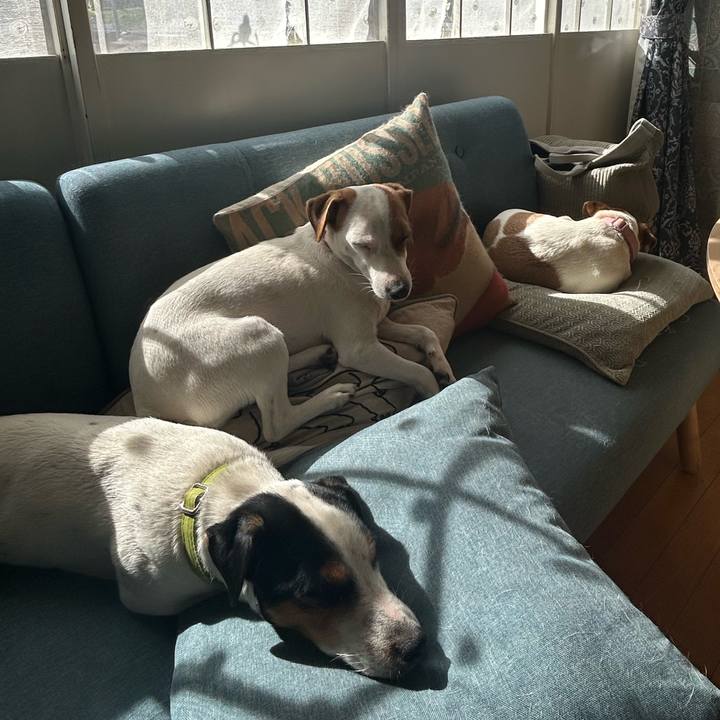 F4e592f1 4cb8 4678 8acd cdc5775537b3 1762222690348