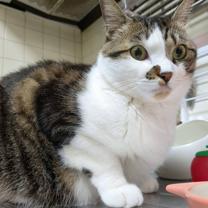 F4e5b627 d43a 4b42 b96d 0d0d99616c74 1681389274780