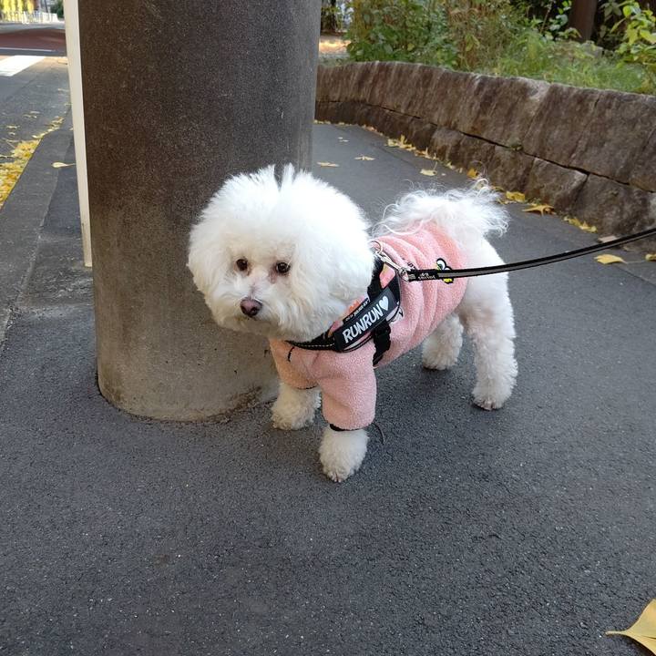 F4e5c396 6c3d 44fd a189 b2f7f760ac1e 1638687521861