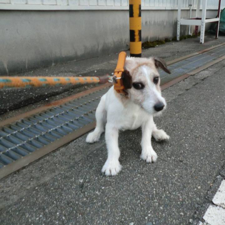 F4e5cd06 97b6 4f42 84e9 ccf3db2a6a74 1562239201100