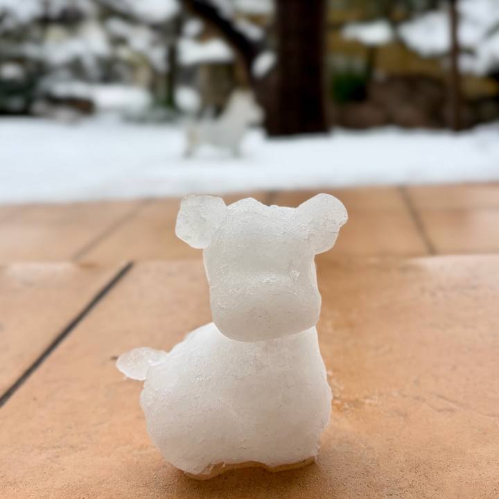 F4e5d260 3090 4ff8 b936 d5503a5423a1 1770528222415