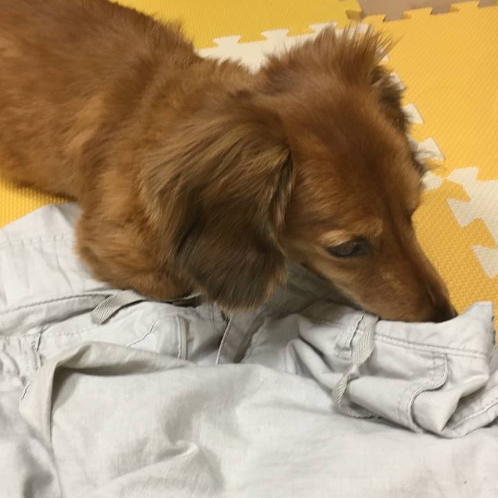 F4e5e9d0 5ec0 4a5e 8bbd 28d571012918 1528896363559