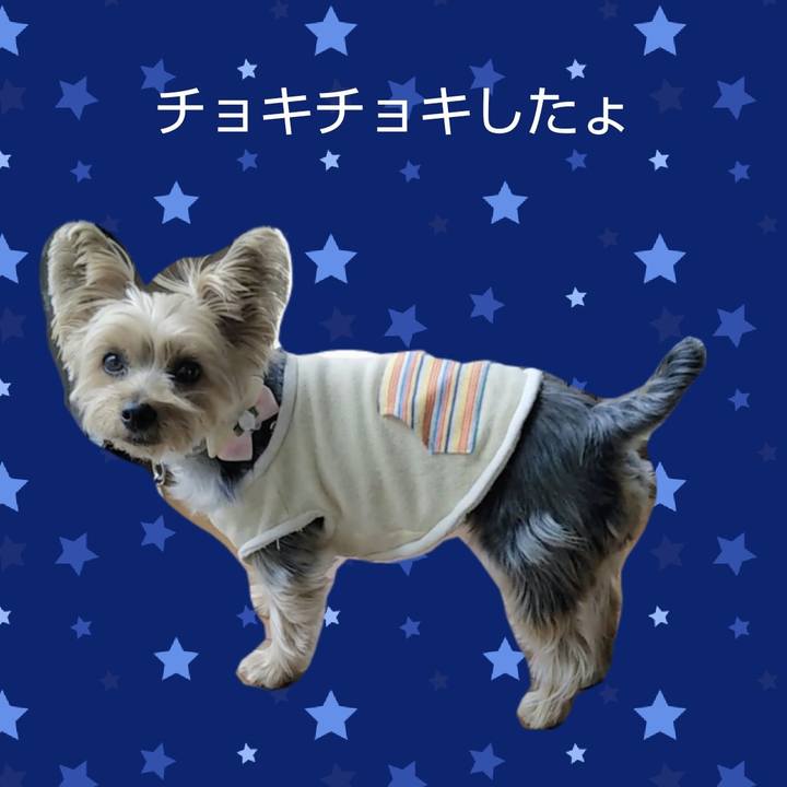 F4e60e25 412e 4a60 930a 717da8db8a07 1681989607372