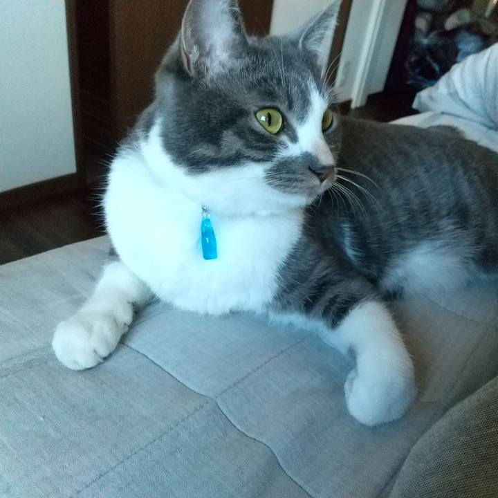 F4e633af a49e 42e9 877b f58c1e6fec30 1606012906979