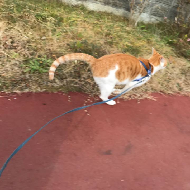 F4e63d42 3fc2 4779 8b7c 56dd9b55df27 1511934167553