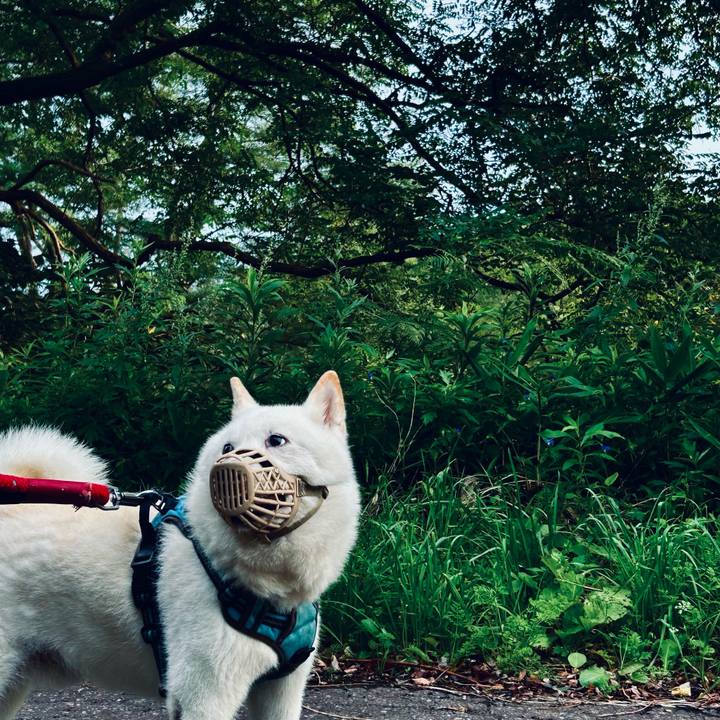 F4e65d72 8e9b 4588 8ad3 63da061b8e99 1756676650052