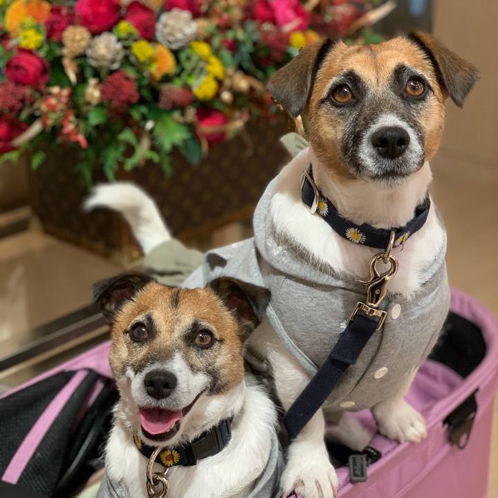 F4e69059 4674 4436 aeb8 e3344d50945d 1615505783470