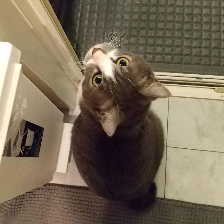 F4e69441 de9d 463f b116 b4d7d2d9d4d4 1613657519155