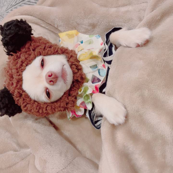 F4e6a97a 9e44 41d0 9133 a4de4f8a60cd 1701427983837