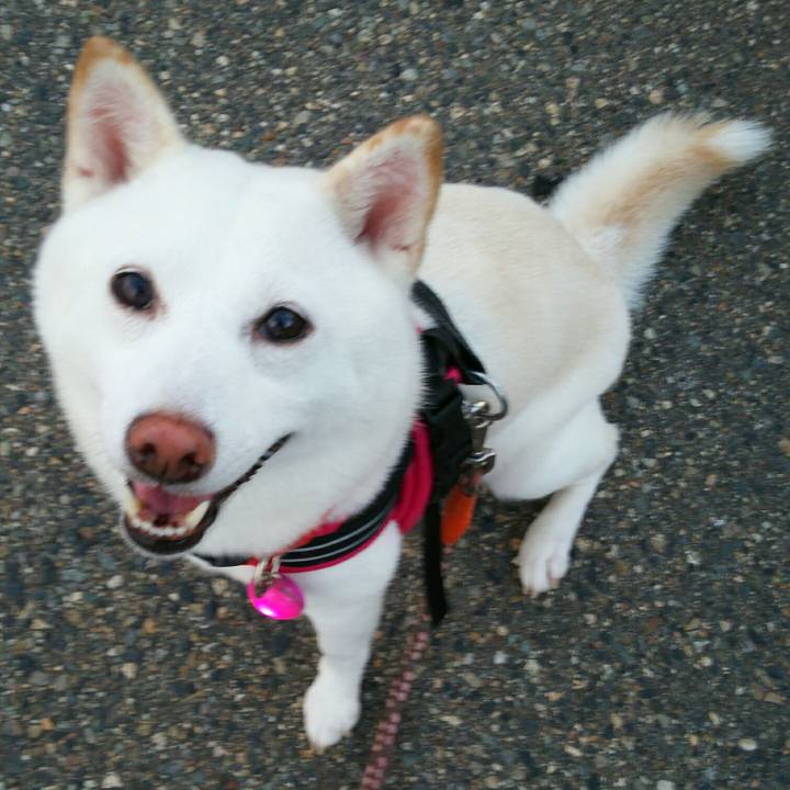 F4e6b537 539e 4f83 aa97 914179092402 1565173505400