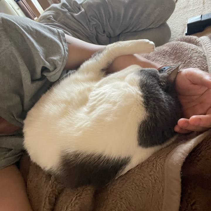 F4e6b54d ea93 4270 9ea5 4cc42e36cb24 1744351410201