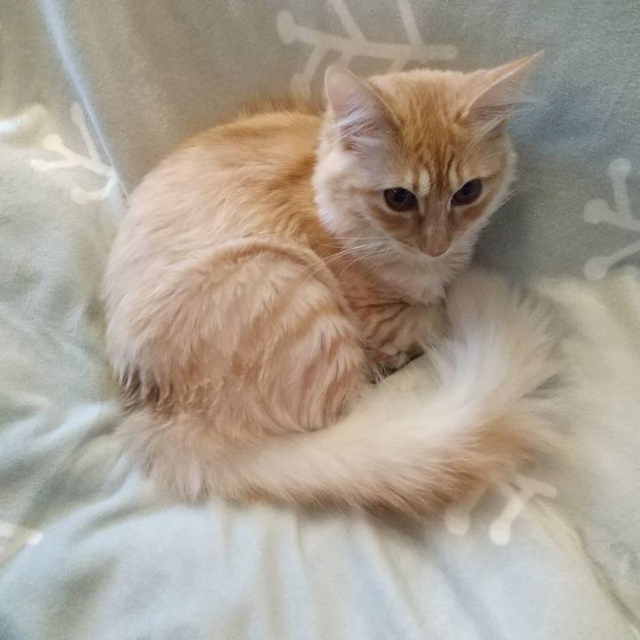 F4e6b56e 57e3 47ad ba97 2e087475300d 1616210438173