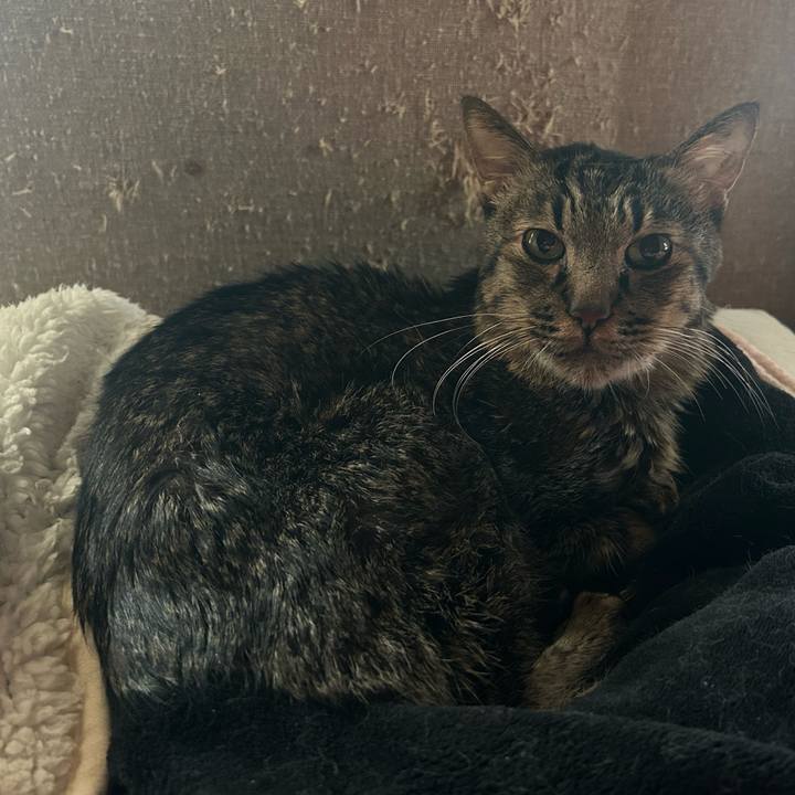 F4e6cce7 e82f 499d b224 e3c1a3dced02 1768791031862