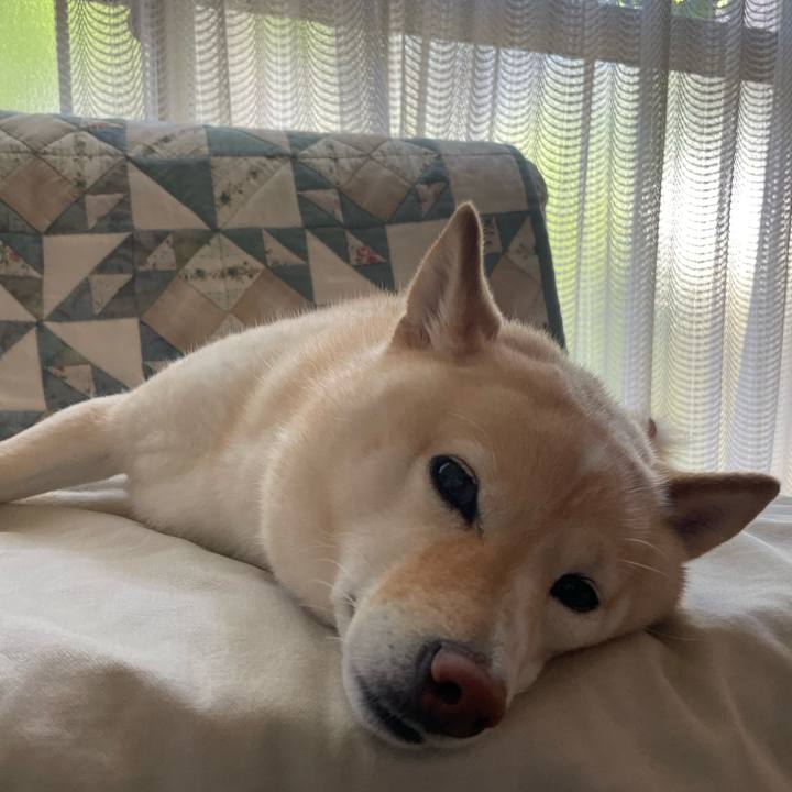 F4e71a41 2ee5 4f8c 81ab 73791db42416 1689130177728