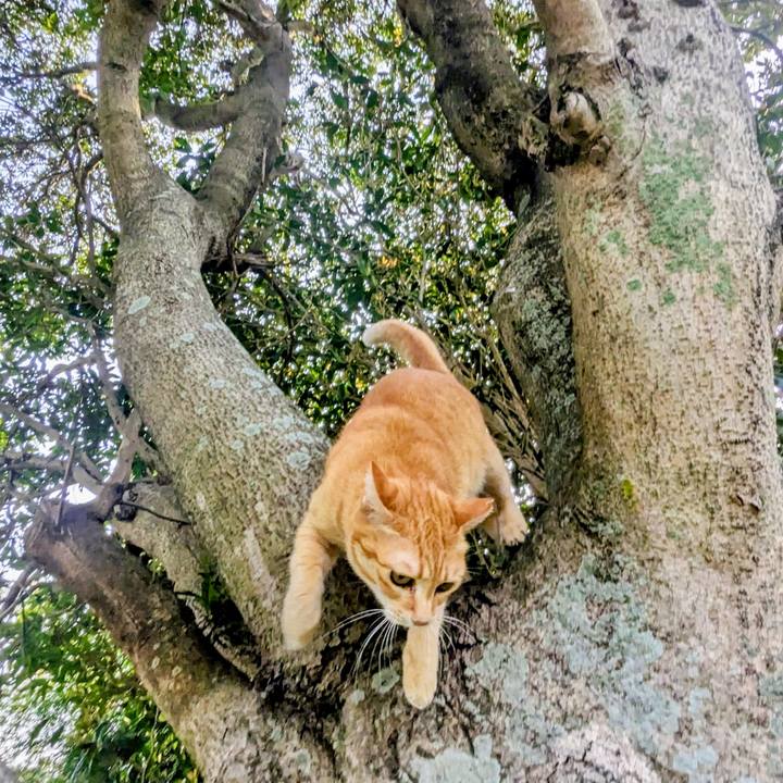 F4e71aa7 75ac 46c1 b15f 60c095944268 1774883254933