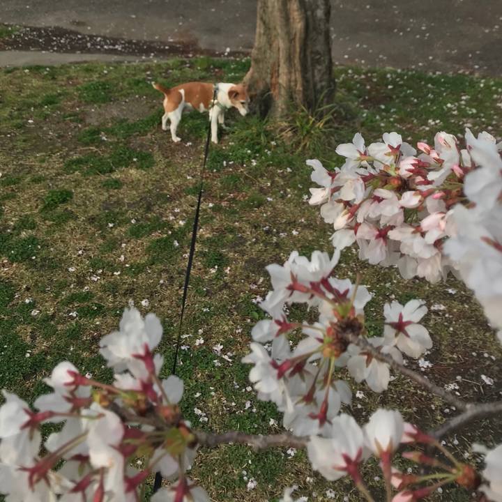 F4e763ac 54aa 48ab a3fd 2476ae71ec7a 1585974452184