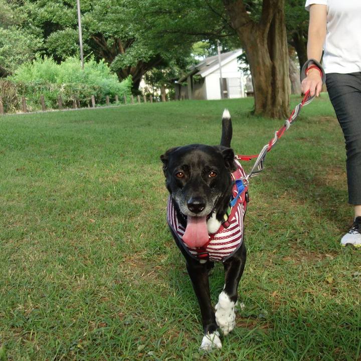 F4e76cfe 3f5f 4e20 8f68 9f05b73943b5 1690415982546