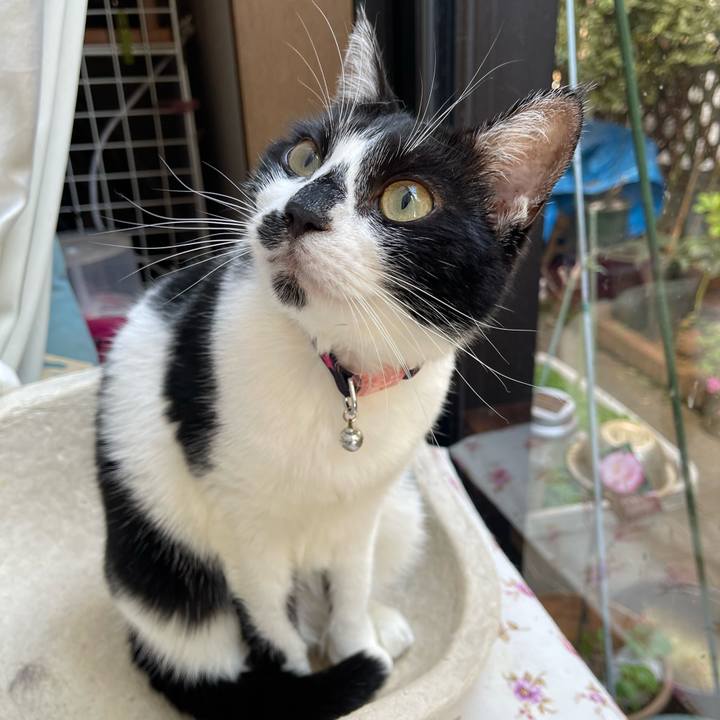 F4e775ec 56f2 4eba bfa4 f51e56310355 1763348374778