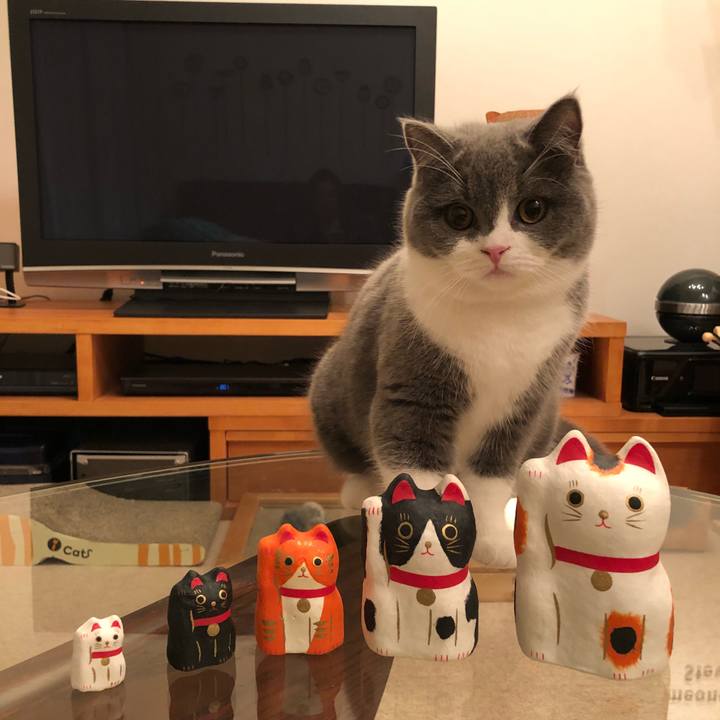 F4e7b649 742e 4295 984f 4fbb5f63f0fc 1513415000311