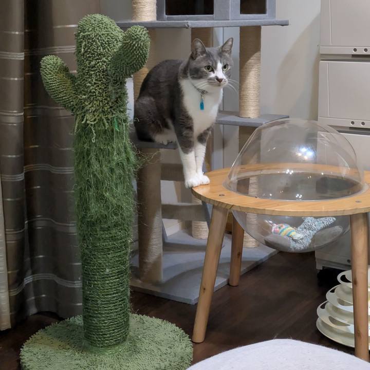 F4e7d0ae ef27 4bd4 8126 965aa9ca8c9b 1739618745632