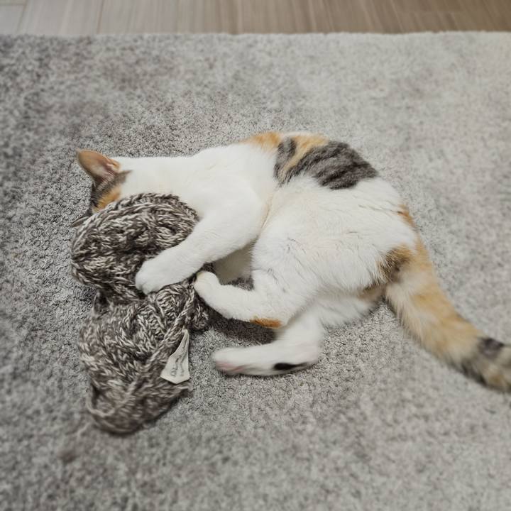 F4e80b0f 7041 4ee5 a4c5 29559ea9009c 1770871339165