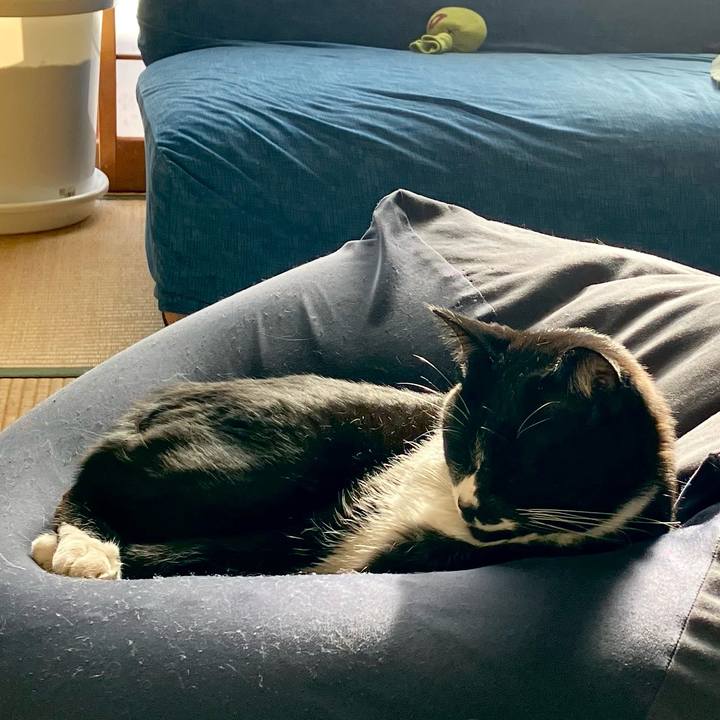 F4e80c77 bece 4328 8d36 5f334abbbef9 1744082124580