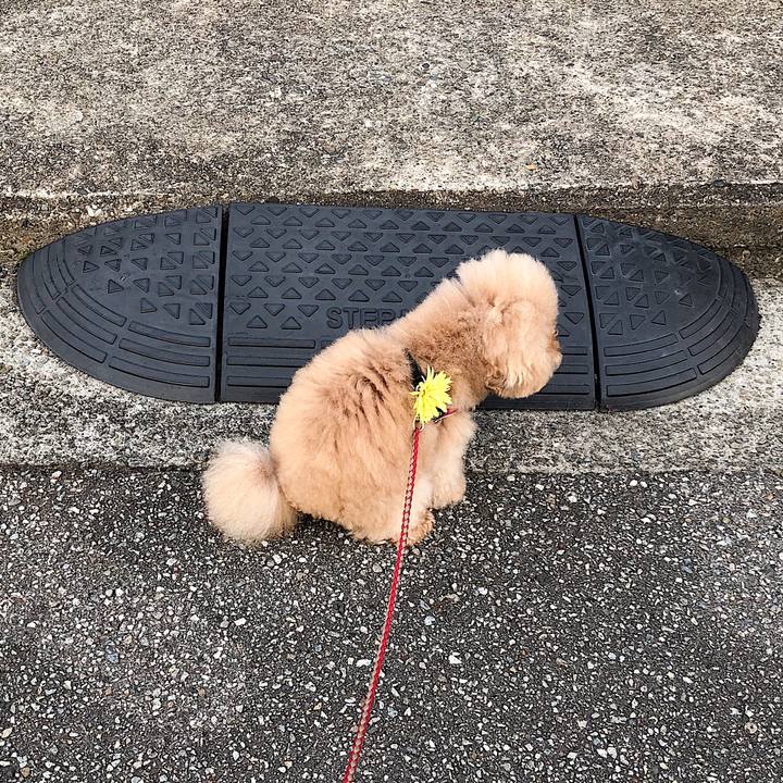 F4e80cb3 784e 4564 a53e 0aee57178411 1535432119104