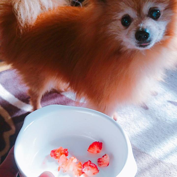 F4e821d0 34db 476d a011 b2115c8dc4c7 1587282894147