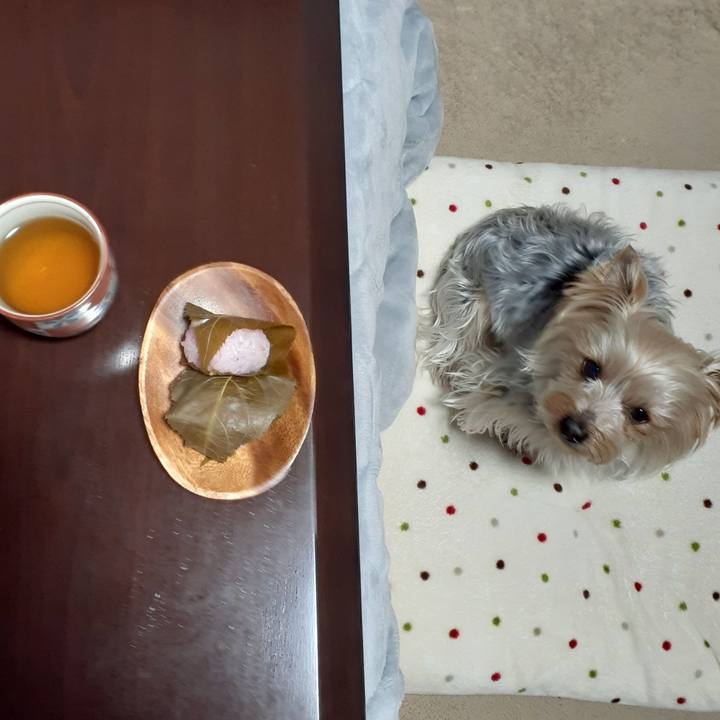 F4e83292 b5f9 4dcf aea2 4e01011af24d 1680389529369