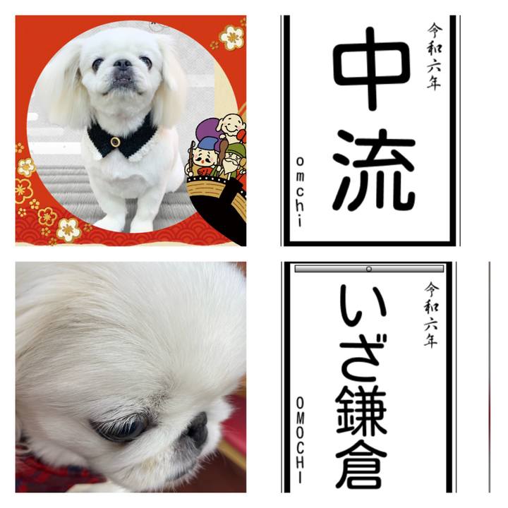 F4e8abb4 a366 4be9 ac41 f2cb4e84f3bf 1704511353155