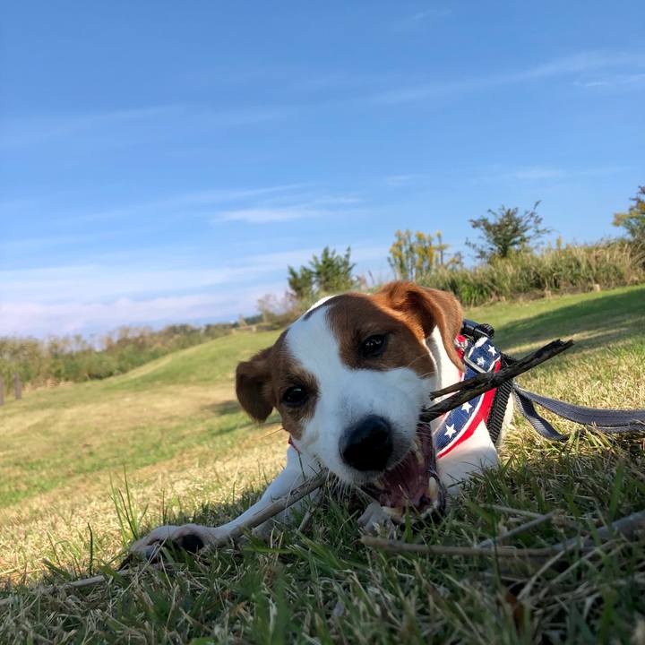 F4e8adb0 dc9f 422d 8f3e 36ffd6941423 1635841933151