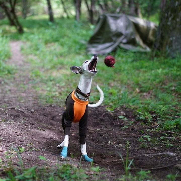 F4e8d482 5478 4539 abfa c3582820a64f 1532186062377