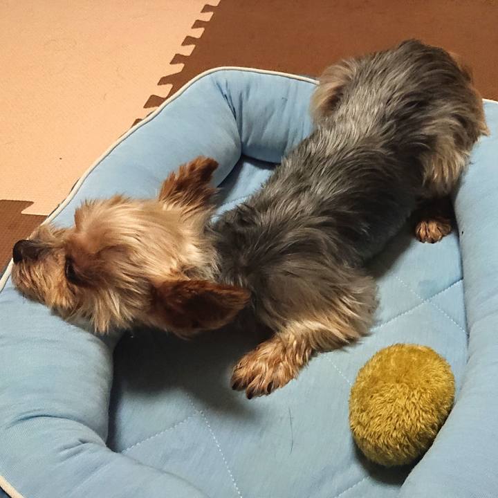 F4e8eb5e fd7d 4eb7 86ce f285fb4e54f0 1596287709300